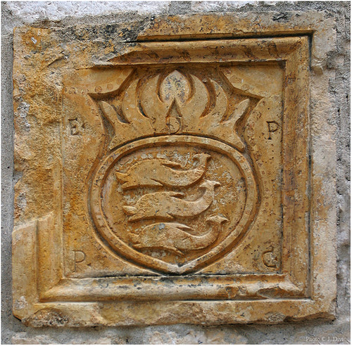 Obiteljski Grb Delfinija